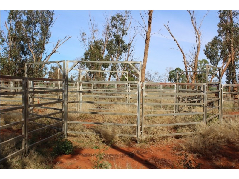 “Challoner Park” Tambingey Road, Hebel QLD 4486