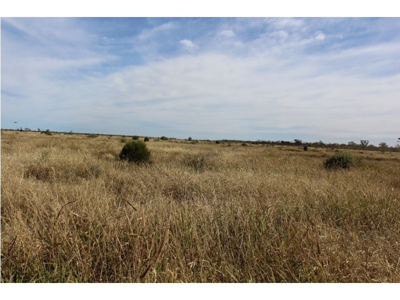 “Challoner Park” Tambingey Road, Hebel QLD 4486