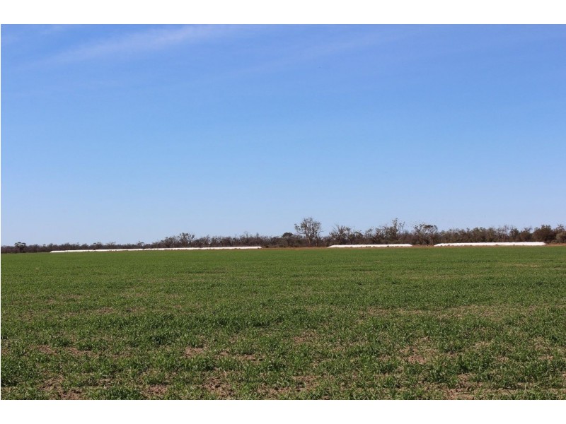 “Challoner Park” Tambingey Road, Hebel QLD 4486