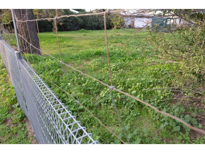 49 Albert Street, Moree NSW 2400