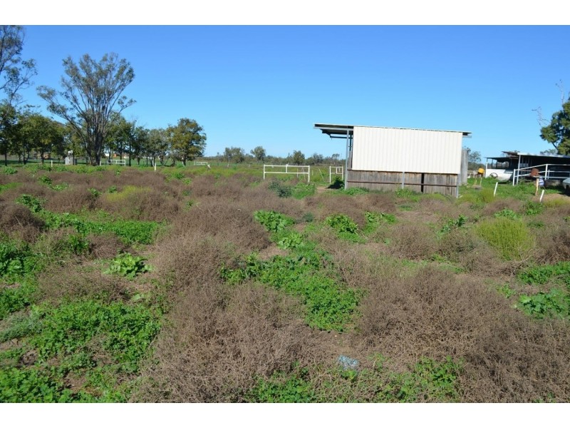 36 Alabar Lane, Moree NSW 2400