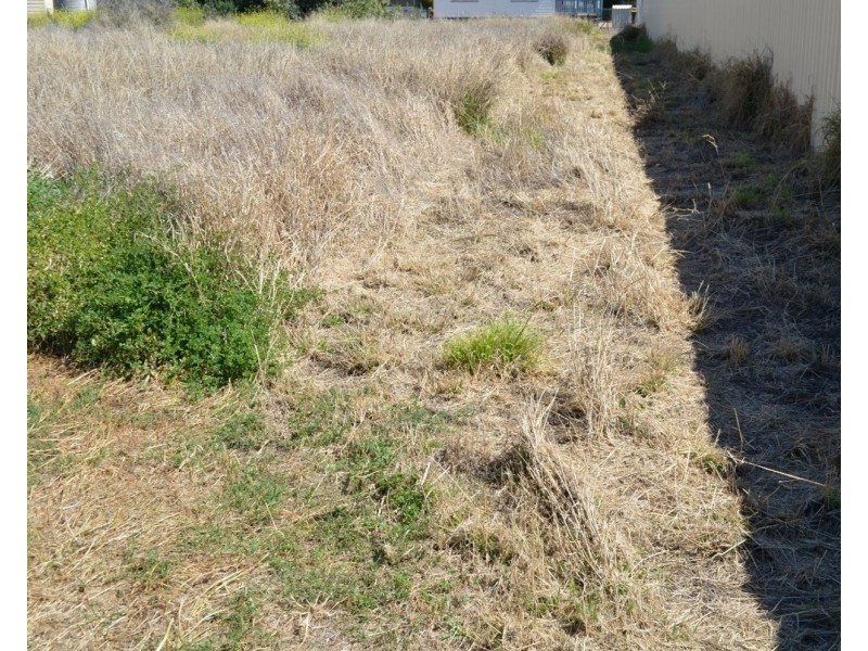 6 Welbon Street, Ashley NSW 2400