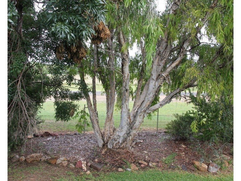 53 Moree Street, Ashley NSW 2400