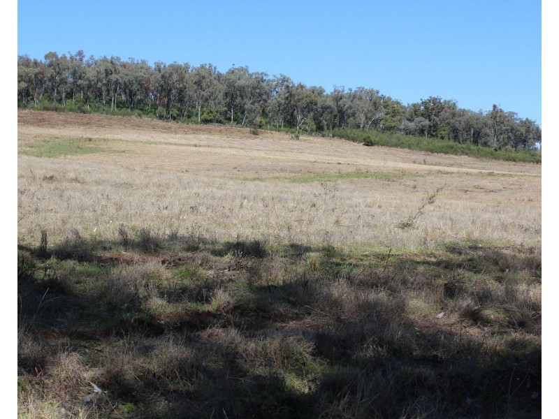 1550 Adams Scrub Rd, Delungra NSW 2403