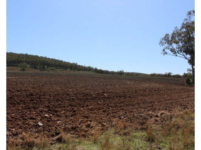 1550 Adams Scrub Rd, Delungra NSW 2403