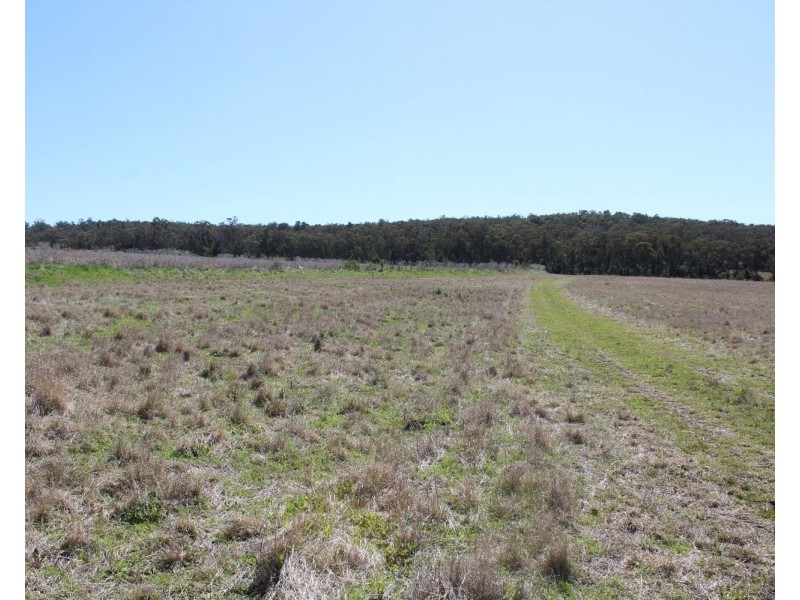 1550 Adams Scrub Rd, Delungra NSW 2403