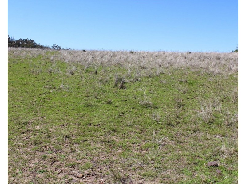 1550 Adams Scrub Rd, Delungra NSW 2403