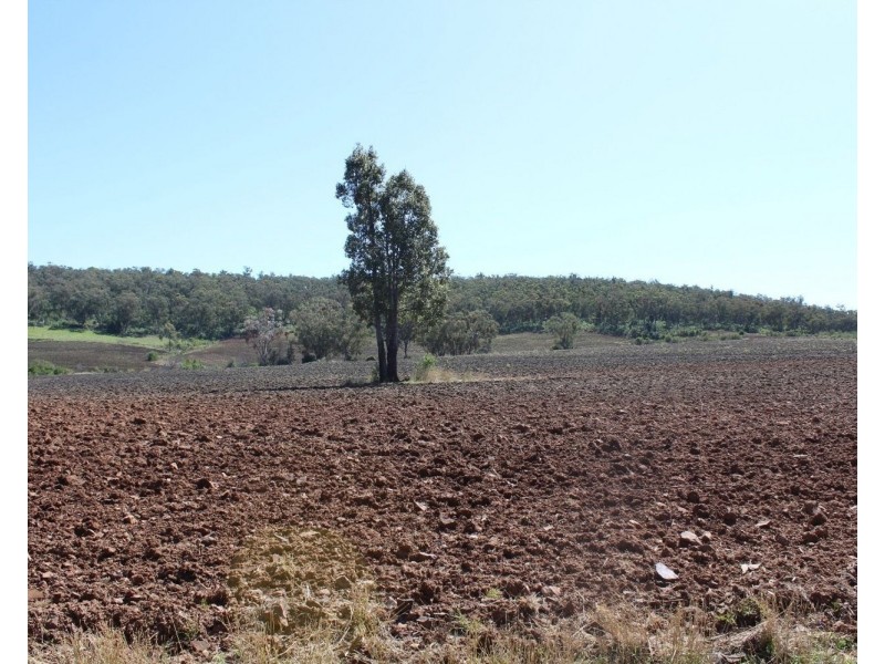 1550 Adams Scrub Rd, Delungra NSW 2403