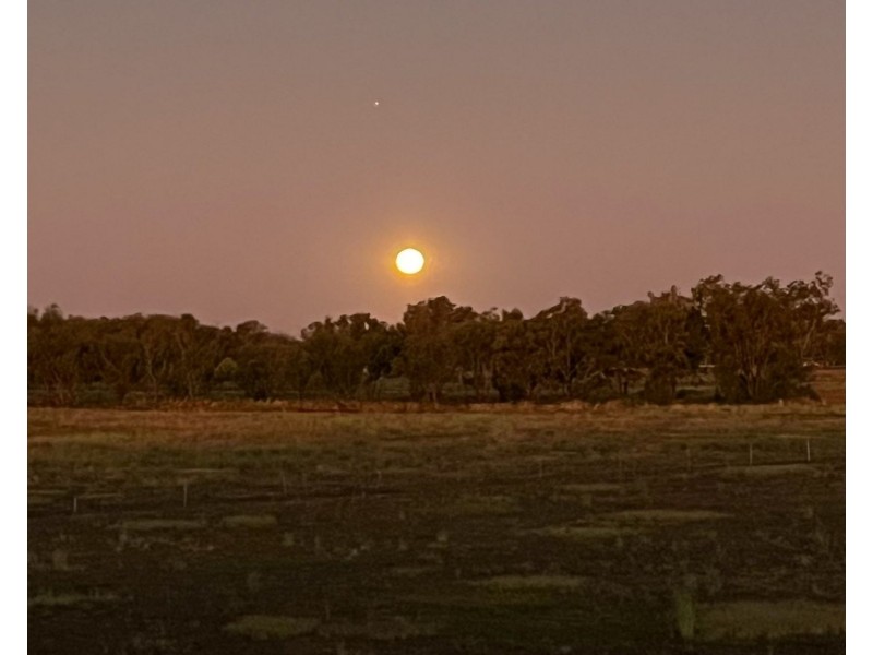 “The Oaks” Chinamans Lane, Moree NSW 2400