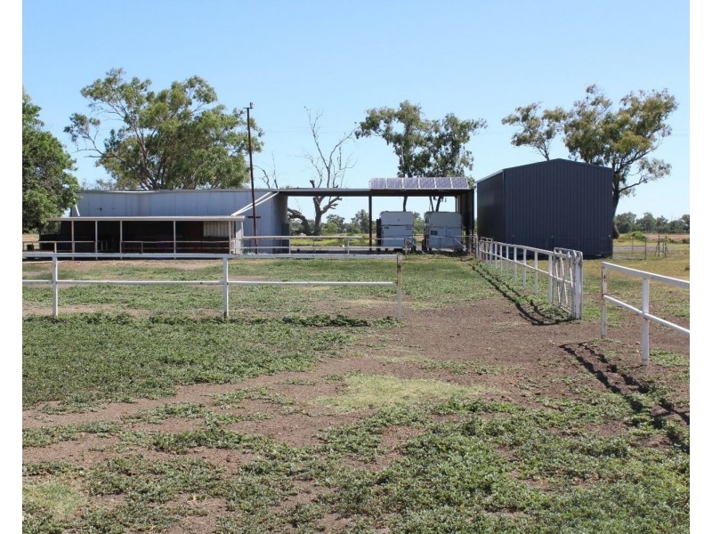 “The Oaks” Chinamans Lane, Moree NSW 2400