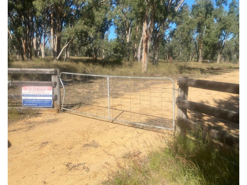 Oregon Rd, Warialda NSW 2402