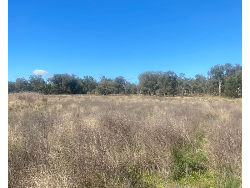 Oregon Rd, Warialda NSW 2402