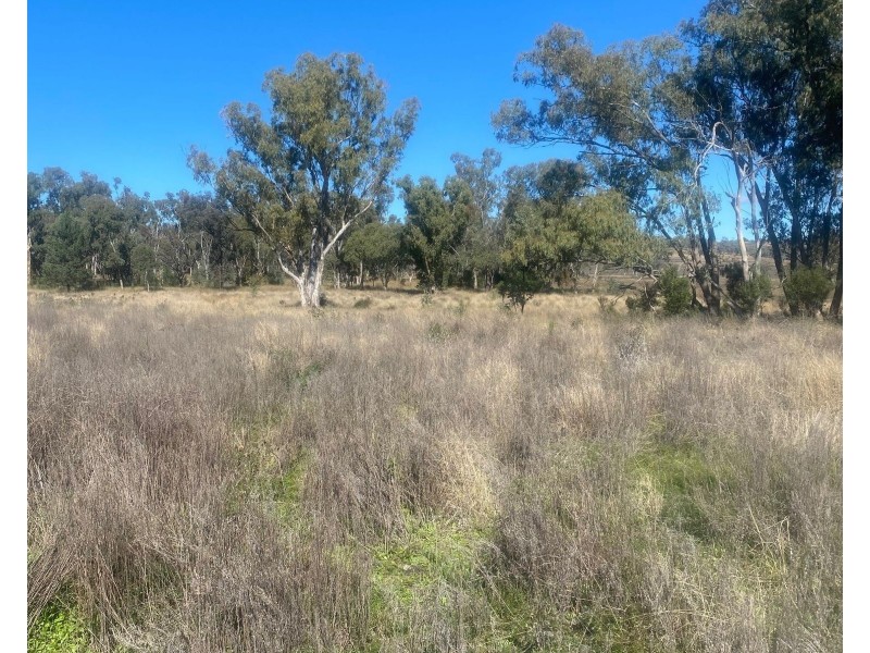 Oregon Rd, Warialda NSW 2402