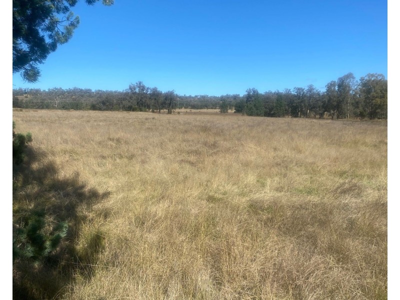 Oregon Rd, Warialda NSW 2402