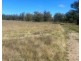 Oregon Rd, Warialda NSW 2402