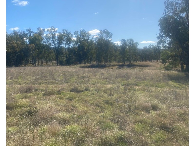 Oregon Rd, Warialda NSW 2402