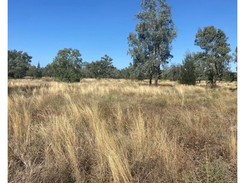 Galtymore, Mungindi NSW 2406