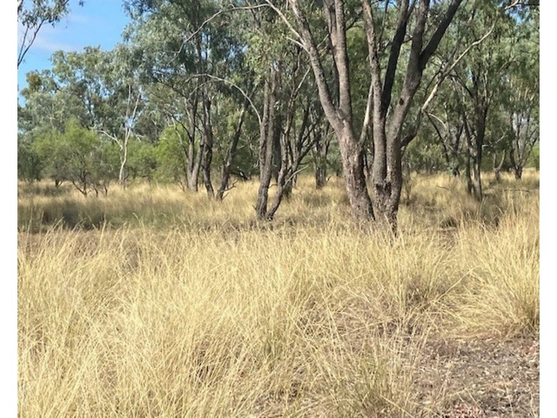 Galtymore, Mungindi NSW 2406