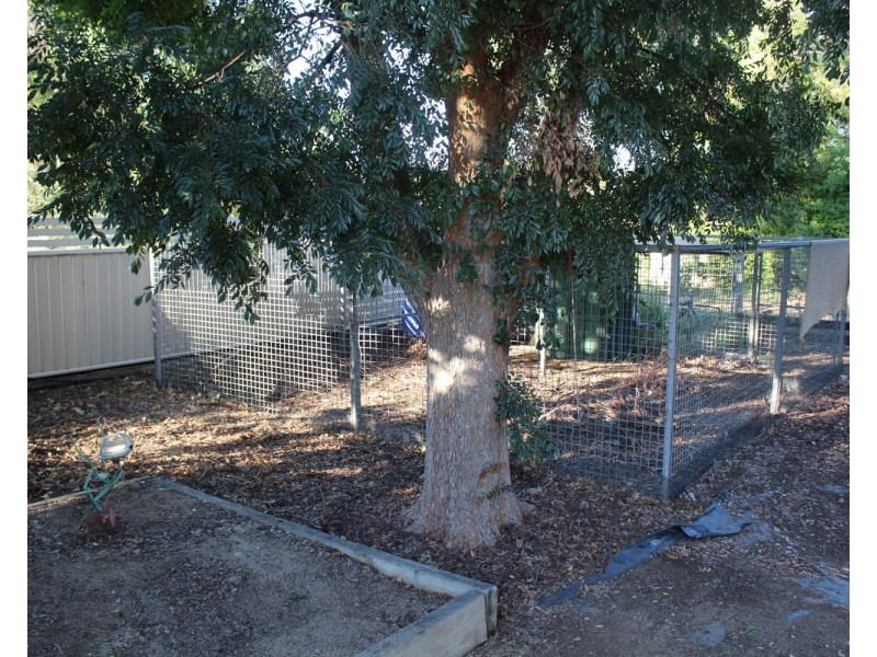 16 Medgun Street, Ashley NSW 2400