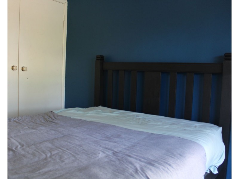 16 Medgun Street, Ashley NSW 2400