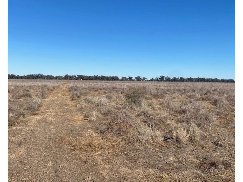 “NAMPARA”, Burren Junction NSW 2386