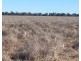 “NAMPARA”, Burren Junction NSW 2386
