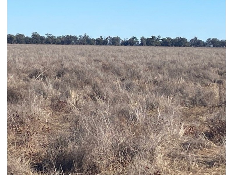 “NAMPARA”, Burren Junction NSW 2386
