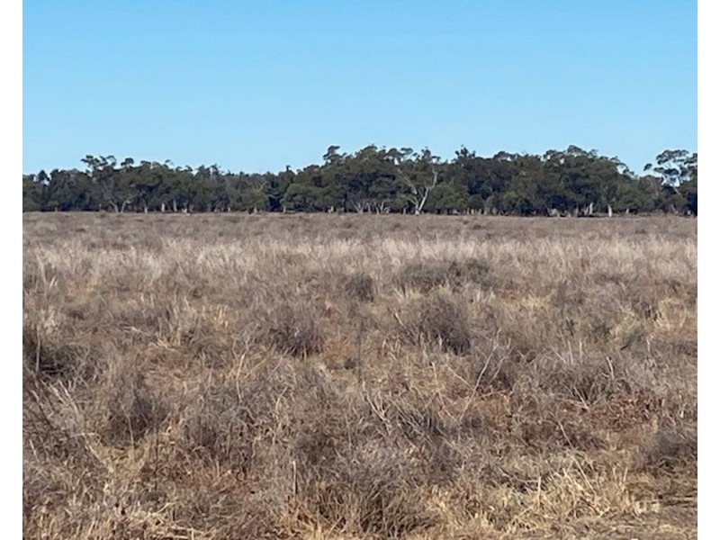 “NAMPARA”, Burren Junction NSW 2386