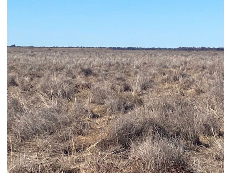 “NAMPARA”, Burren Junction NSW 2386
