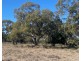 “NAMPARA”, Burren Junction NSW 2386