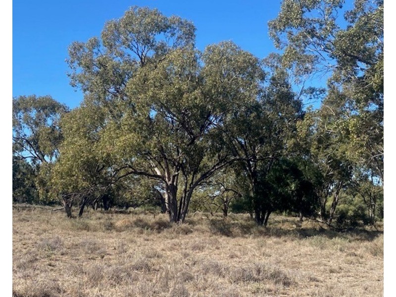 “NAMPARA”, Burren Junction NSW 2386