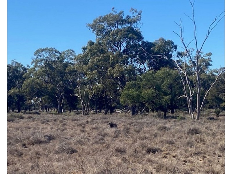 “NAMPARA”, Burren Junction NSW 2386