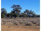 “NAMPARA”, Burren Junction NSW 2386