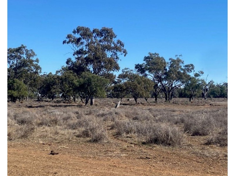 “NAMPARA”, Burren Junction NSW 2386