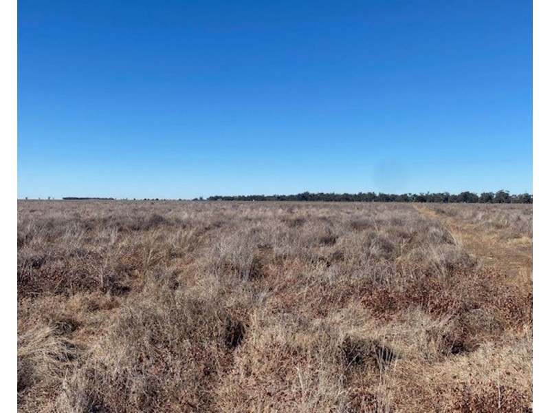 “NAMPARA”, Burren Junction NSW 2386