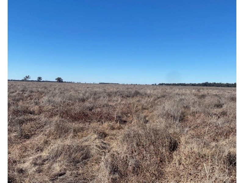 “NAMPARA”, Burren Junction NSW 2386