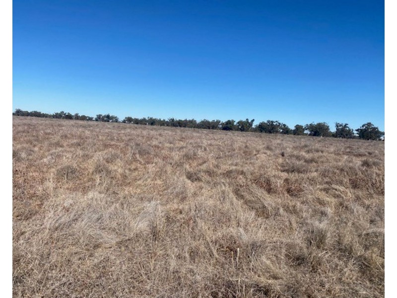 “NAMPARA”, Burren Junction NSW 2386