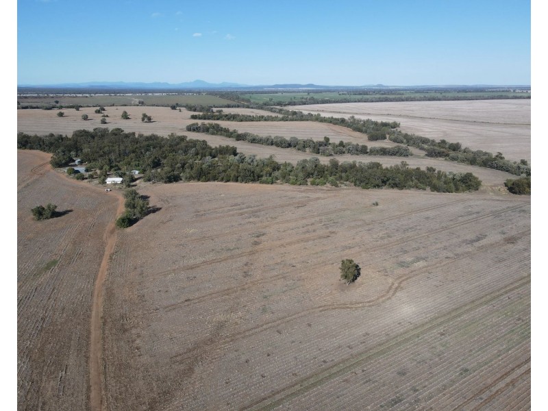 1297 Romaka Road, Biniguy NSW 2399