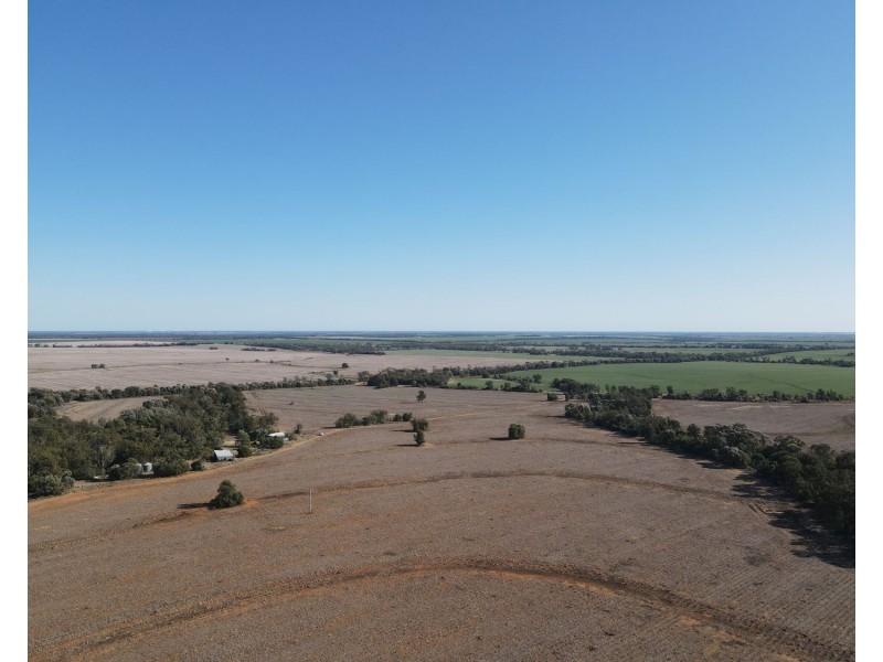 1297 Romaka Road, Biniguy NSW 2399