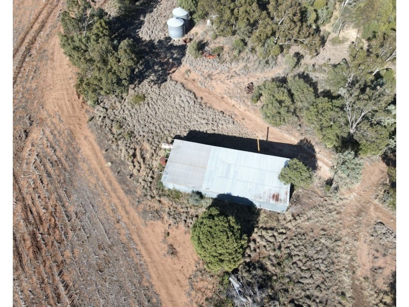 1297 Romaka Road, Biniguy NSW 2399