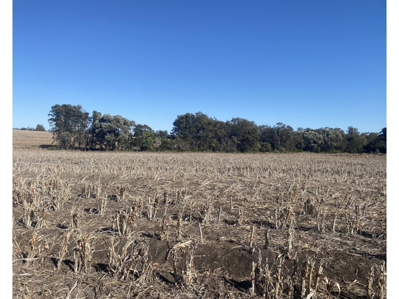 1297 Romaka Road, Biniguy NSW 2399