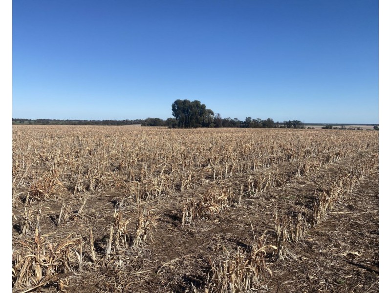 1297 Romaka Road, Biniguy NSW 2399