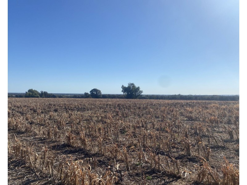 1297 Romaka Road, Biniguy NSW 2399