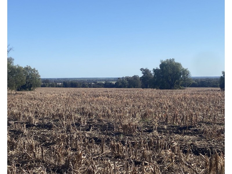 1297 Romaka Road, Biniguy NSW 2399