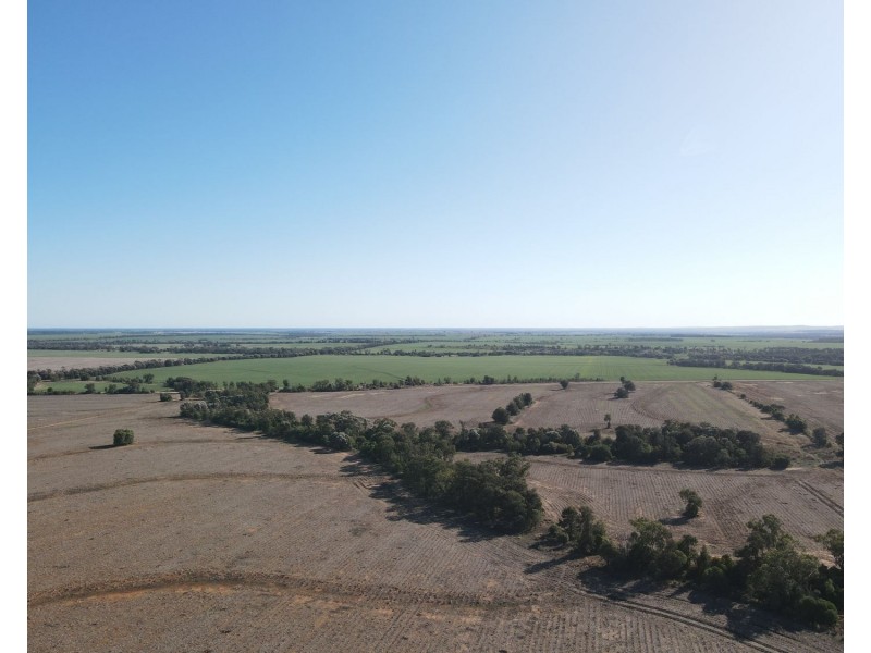 1297 Romaka Road, Biniguy NSW 2399