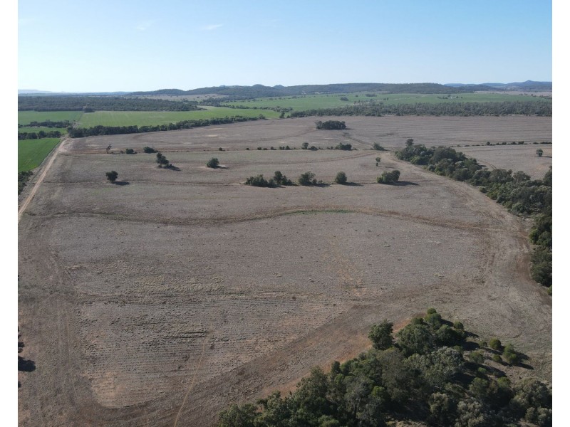 1297 Romaka Road, Biniguy NSW 2399