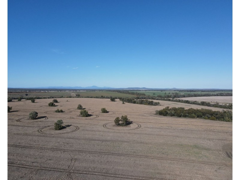 1297 Romaka Road, Biniguy NSW 2399