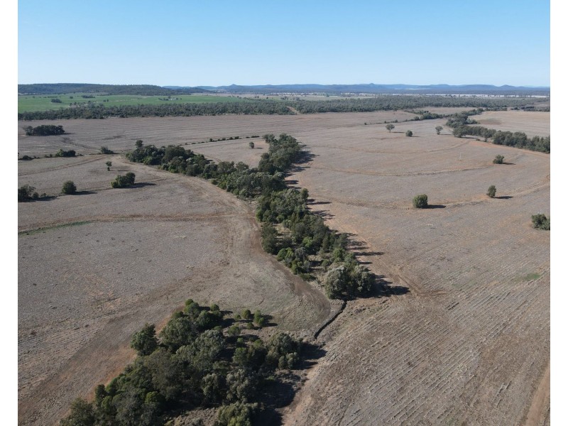 1297 Romaka Road, Biniguy NSW 2399