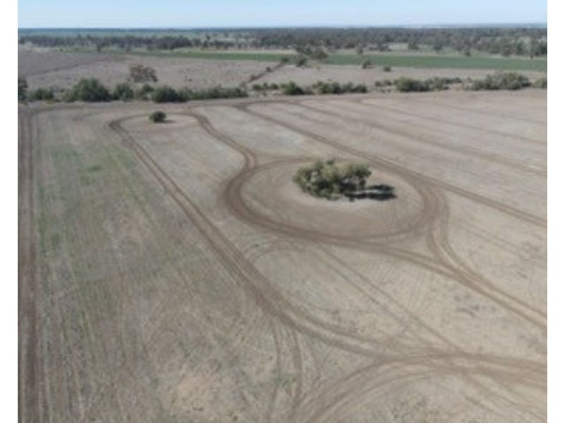 Lot 2 (DP-543182), Moree NSW 2400