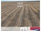 Troy, Moree NSW 2400